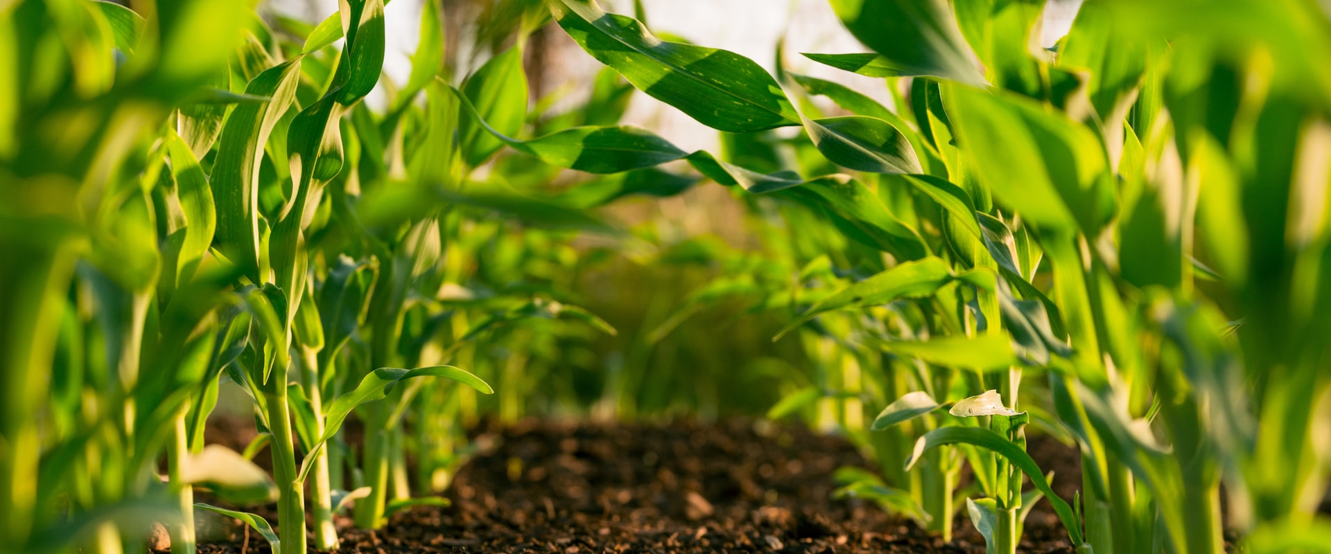 AFX AGRO mehanizacija